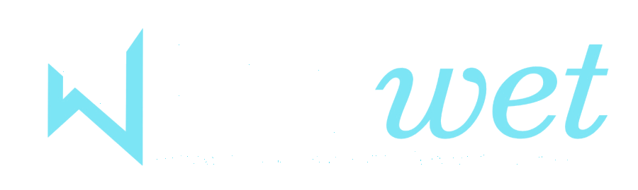 Netwet Prizma Innovations Private Limited